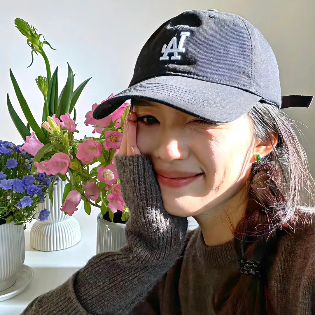 真假维梅尔